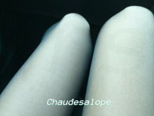 Chaudesalope