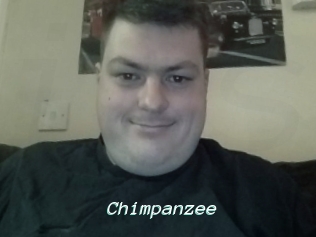 Chimpanzee