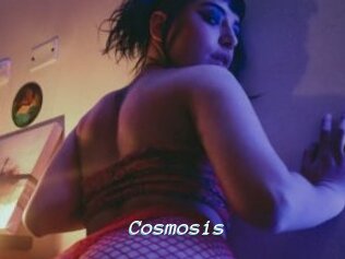 Cosmosis