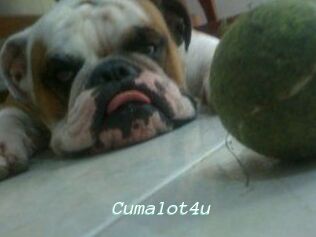 Cumalot4u