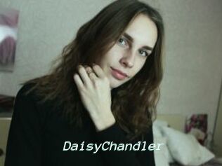 Daisy_Chandler