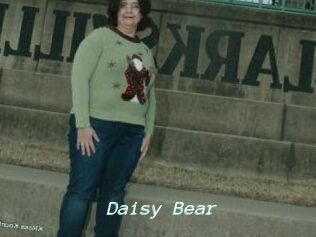 Daisy_Bear