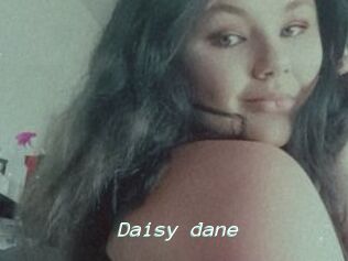 Daisy_dane