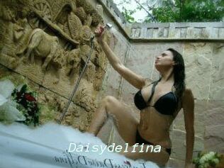 Daisydelfina