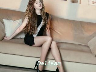 DaliKam