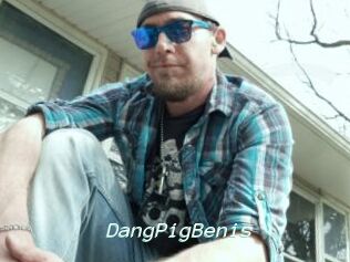 DangPigBenis