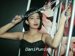 DaniPunish