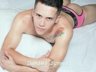 Daniel_Schmid