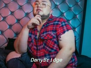 DanyBridge