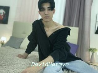 DavidHarmyn