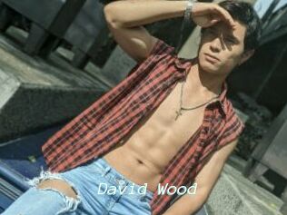 David_Wood