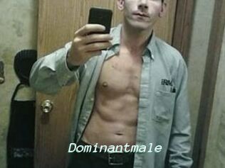 Dominantmale