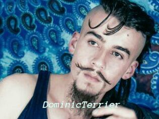 DominicTerrier