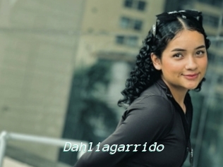 Dahliagarrido