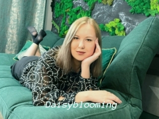 Daisyblooming