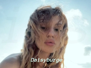 Daisyburge