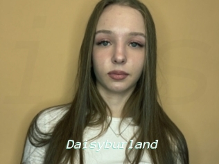 Daisyburland