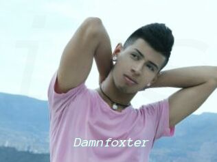 Damnfoxter
