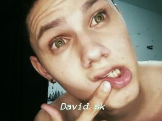 David_sk