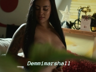Demmimarshall