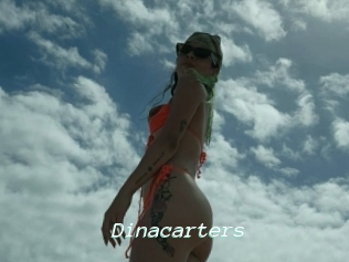 Dinacarters