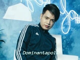 Dominantapolo