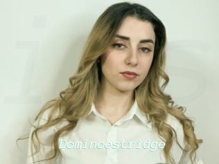 Dominoestridge