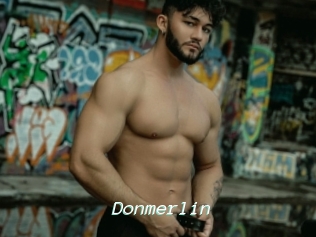 Donmerlin