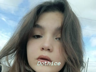Dothice