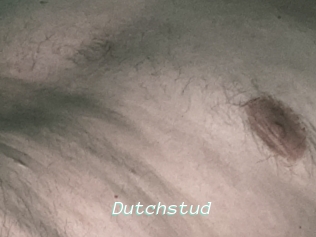 Dutchstud