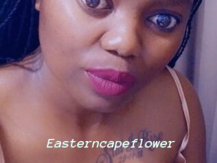 Easterncapeflower