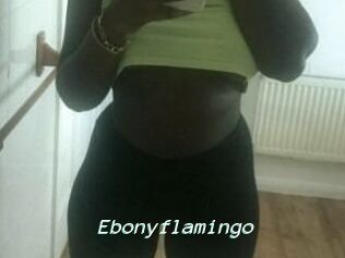 Ebony_flamingo
