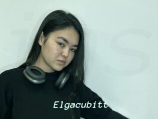 Elgacubitt