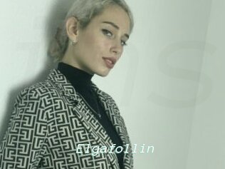 Elgafollin