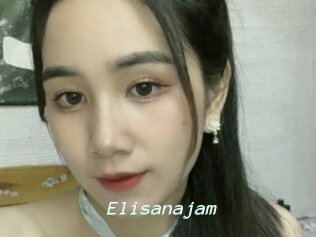 Elisanajam
