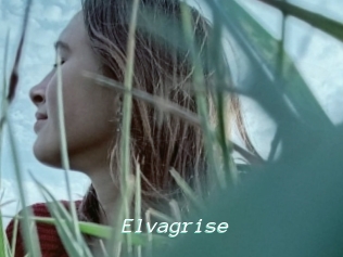 Elvagrise
