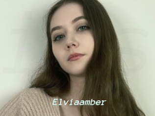 Elviaamber