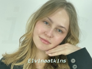 Elvinaatkins