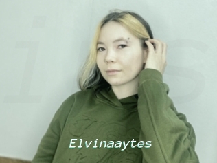 Elvinaaytes