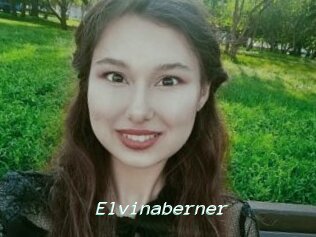 Elvinaberner