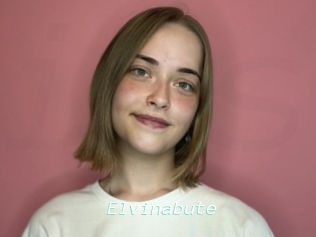 Elvinabute
