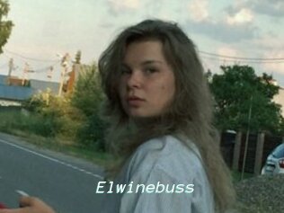 Elwinebuss