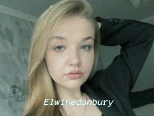 Elwinedanbury