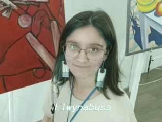 Elwynabuss