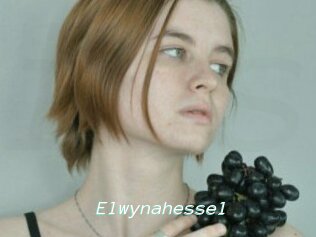 Elwynahessel