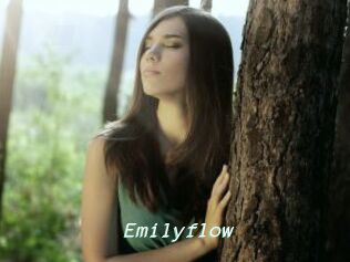 Emilyflow