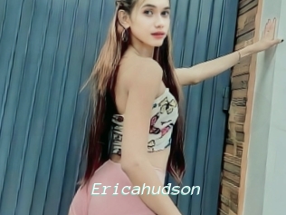 Ericahudson