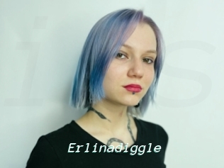 Erlinadiggle