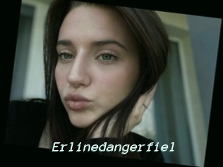 Erlinedangerfiel