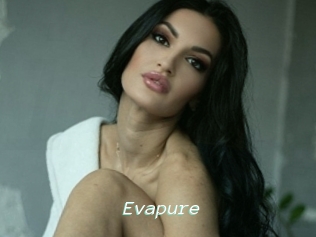 Evapure